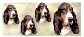 Dog  Wrap - Bassett Hound